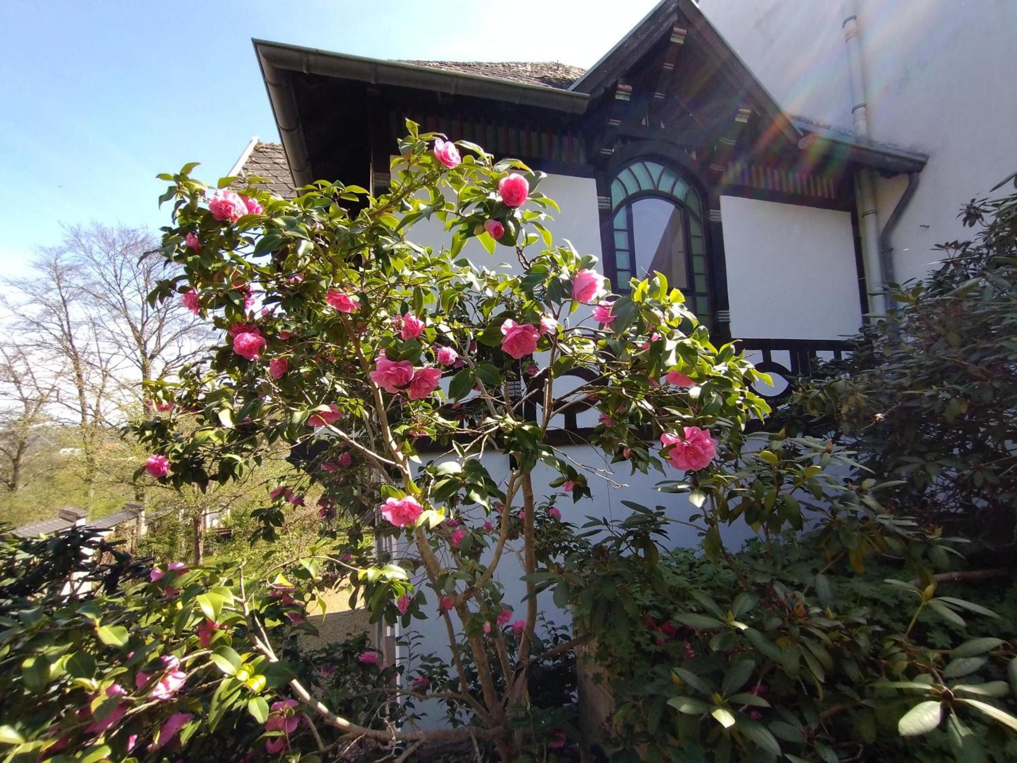 Historisches Haus Am Triller Villa Saarbrücken Eksteriør billede